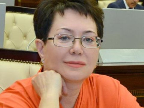 Jurnalist-deputat prezidentin mesajı haqda: “Problemlərdən yazmaq lazımdır!”   