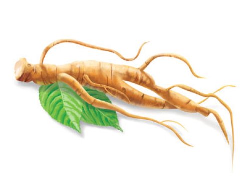 “Kişiliyinizi” jenşenə etibar edin - YALNIZ KİŞİLƏR ÜÇÜN