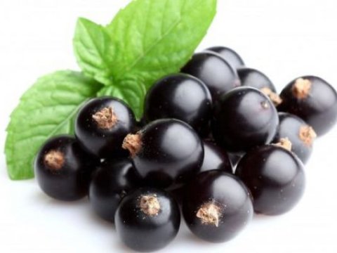 Dərini təravətləndirən, qırışlara qarşı mübarizə aparan giləmeyvə - SİZİN SAĞLAMLIĞINIZ ÜÇÜN