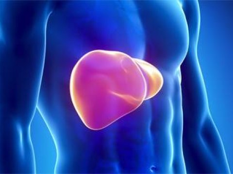 Qaraciyərinizə yeni “ömür” verin – TUBAJ PROSEDURU 