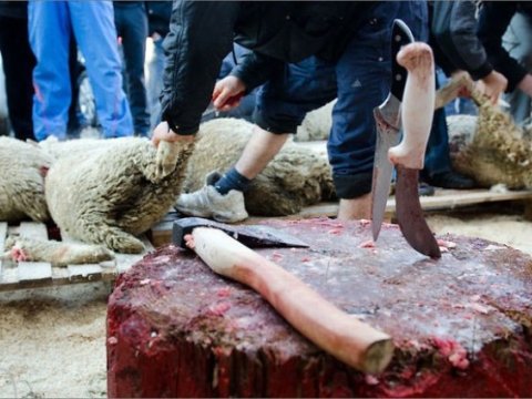 Heyvanların insanların gözü qarşısında kəsilməsi qadağandır – Qəssablara XƏBƏRDARLIQ