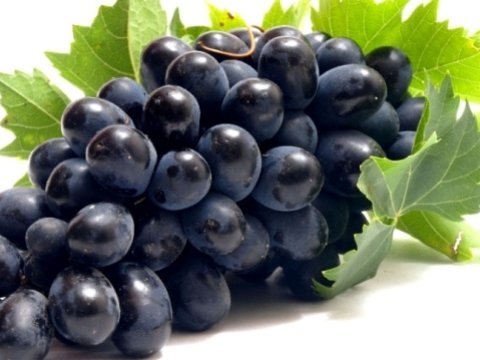 Xaricdən gələn üzümlərə aldanmayın – XƏBƏRDARLIQ