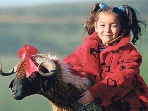 Qurban bayramını SAĞLAM KEÇİRİN 