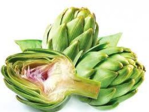 Yunanların ailə quran cütlüyün masasına qoyduqları bitki – “SEVGİ BƏHRƏSİ” 