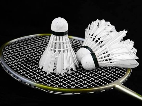 İnsan ömrünü uzadan İDMAN NÖVLƏRİ 