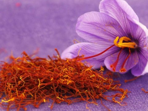 1000 manatlıq ədviyyatın 1001 faydası – SAĞLAMLIĞINIZ ÜÇÜN 