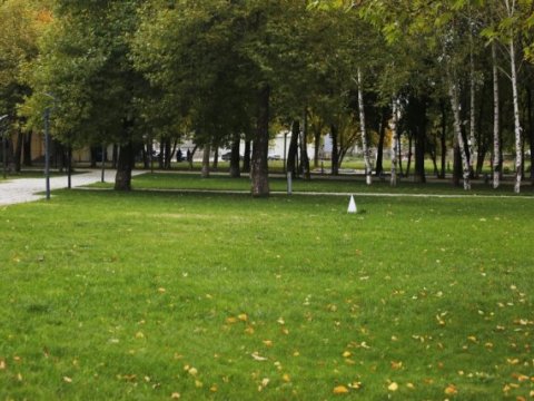 Bələdiyyələrin səlahiyyətləri artırılır &ndash; yaşıllıqlara g&ouml;rə