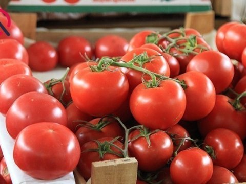 Azərbaycan pomidorlarının Rusiyaya buraxılmamasının SƏBƏBLƏRİ   