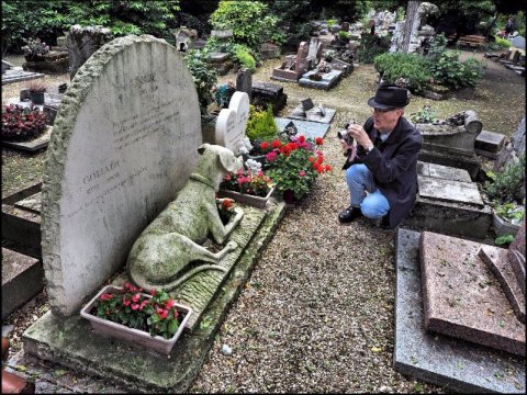 Azərbaycanda heyvanlar üçün qəbiristanlıq salınsın – TƏKLİF 