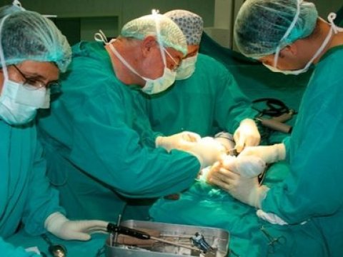 Bakıda bir gündə 15 uşaq əməliyyat edildi