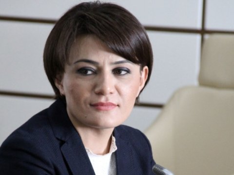 Sona Əliyeva: “Deputatlığa namizəd olmaq tək mənim qərarım deyildi” - MÜSAHİBƏ   