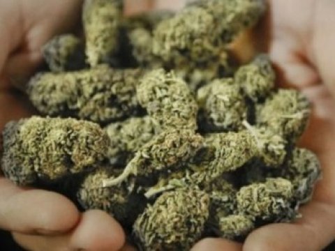 G&uuml;rc&uuml;standa marixuana istifadəsi leqallaşdırıldı