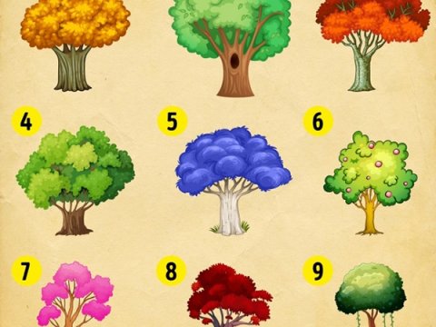 Bir ağac seç və Yeni ilin sənə nə gətirəcəyinə inan - PSİXOLOJİ TEST