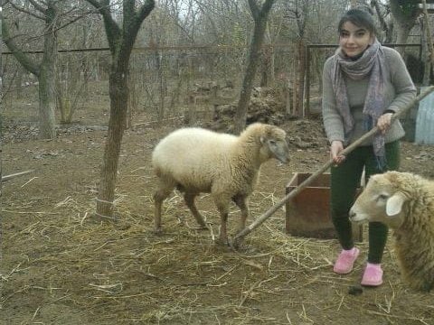 Cəbhə bölgəsinin gənc müəllimi: “İlk günlər atəş səsindən çox qorxdum, öz rayonumuza qayıtmaq istədim” - FOTOLAR