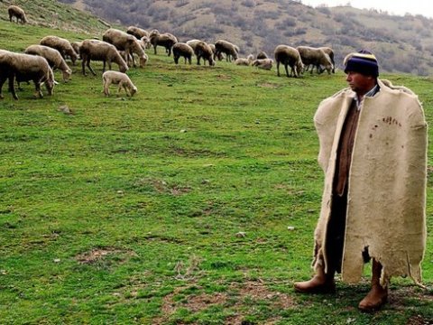 Örüş sahələri xüsusi mülkiyyətə verilə bilməz - Qanun dəyişdirilir
