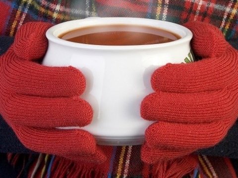 Qış fəslinin QİDA RASİONU 