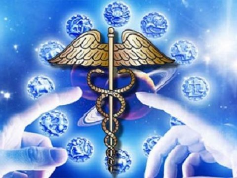 İt ili sağlamlığımız üçün nələri vəd edir... 