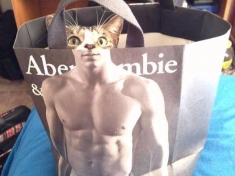 Çəkildiyi anda dəyər qazanan şəkillər - FOTOLAR