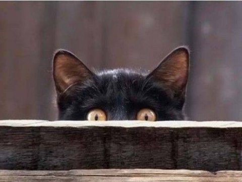 Ciddi və ya qeyri-ciddi saydığımız İNANCLAR 