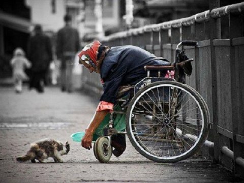 QHT və partiyalarda əlillərin fəaliyyətinə məhdudiyyət qoyulması qadağan edilir