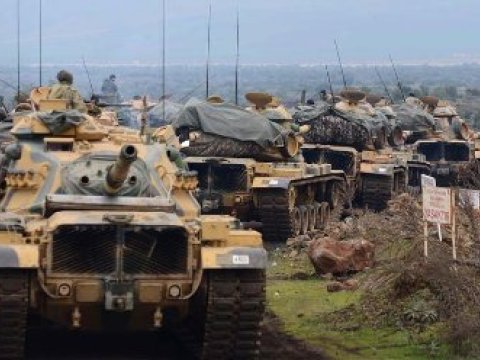 Azərbaycanlılar Danimarkada &ldquo;Zeytun budağı&rdquo; əməliyyatına dəstək verdilər