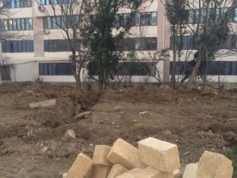 Binəqədi sakinlərindən şikayət -&nbsp;Ağacları kəsirlər -&nbsp;FOTO  &nbsp;