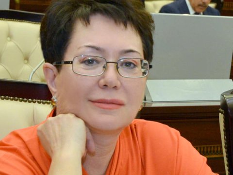 Deputatdan sənədsiz evlərlə bağlı TƏKLİF - Milli Məclisdə yüz minlərin problemi qaldırıldı