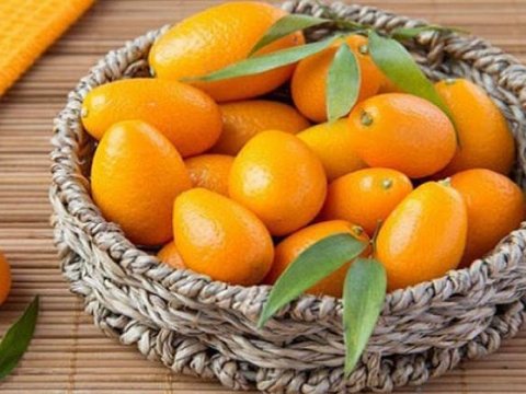 “Yapon apelsini”, yaxud MÜDRİKLƏRİN QİDASI...