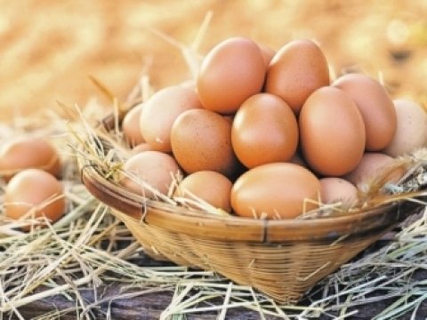 Plastmas, yoxsa yumurta? – Nazirlik yoxlamanın nəticəsini AÇIQLADI