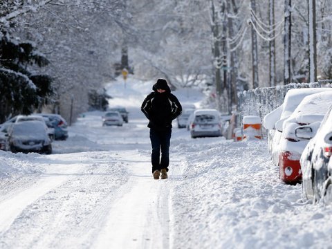 Avropada Sibir şaxtaları həyatı iflic edib