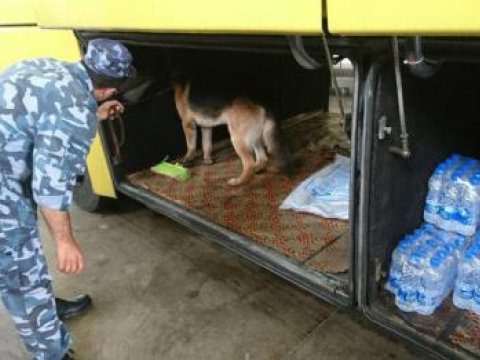 İt İrandan Azərbaycana ke&ccedil;irilən narkotiki&nbsp;tapdı