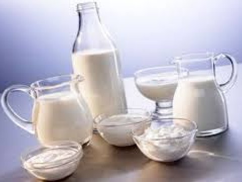 Azərbaycanda s&uuml;d istehsal&ccedil;ıları assosiasiya təsis etdi