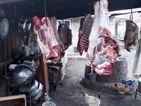 Baytarlıq Xidməti at əti aşkarlandı