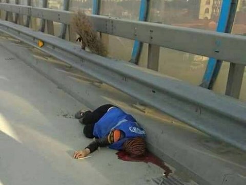 Daxili İşlər Nazirliyi bu şəkillə bağlı AÇIQLAMA verdi: “Hadisəni “KamAZ” törədib”   