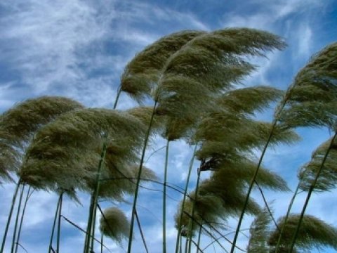Bakı Nəqliyyat Agentliyindən k&uuml;lək XƏBƏRDARLIĞI