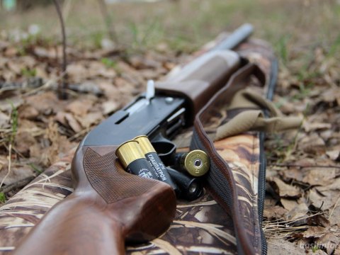 Brakonyerlər Şirvan Milli Parkının əməkdaşına atəş açıb yaraladı