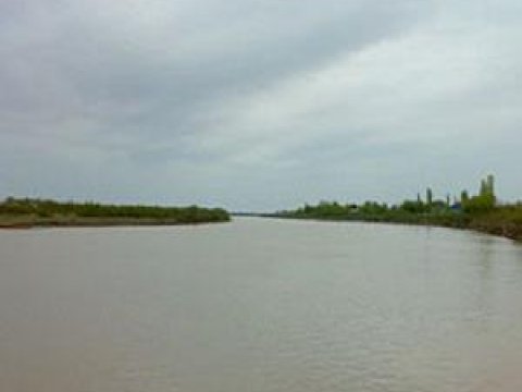 Kürdə təhlükə - zərərli maddələrin miqdarı artıb