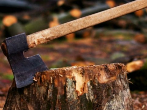 Meşə oğruları saxlanıldı