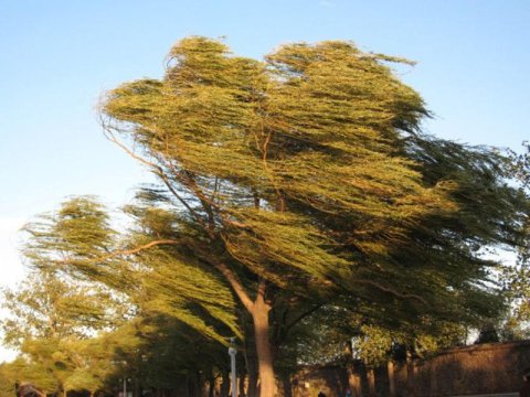 Sabahın hava PROQNOZU:&nbsp;G&uuml;cl&uuml; k&uuml;lək əsəcək 