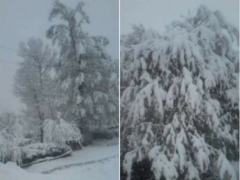 Azərbaycanın bəzi rayonlarına güclü qar yağıb - FOTO   
