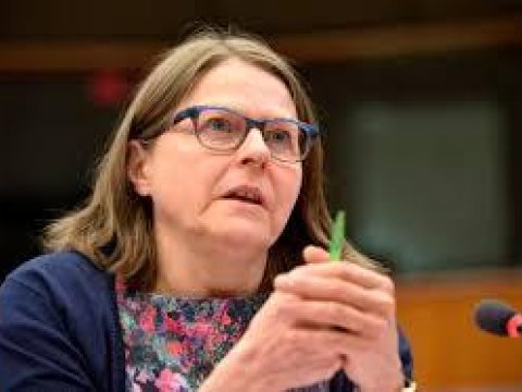 Avropa Parlamentinin vitse-prezidentindən Qarabağla bağlı ÇAĞIRIŞ