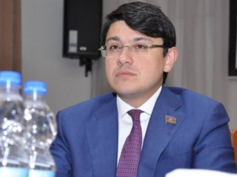 Azərbaycanın diaspor təşkilatlarında canlanma yaranıb