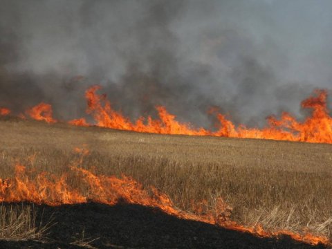 Azərbaycanda əkin yerlərini yandıranlar cəzalandırılacaqlar