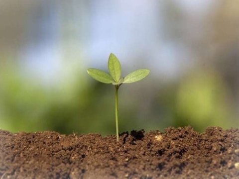 “Torpaq icarəsi haqqında” qanun dəyişdirildi