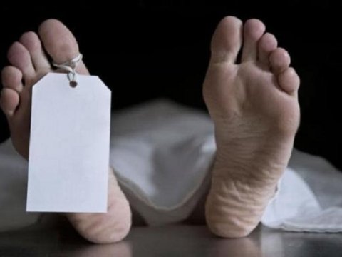 Xaricdən Azərbaycana ölü donor gətirməyə icazə veriləcək  