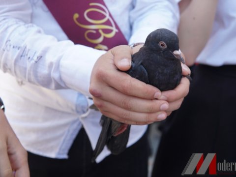 Onlar üçün “Son zəng” çalındı - FOTOLAR