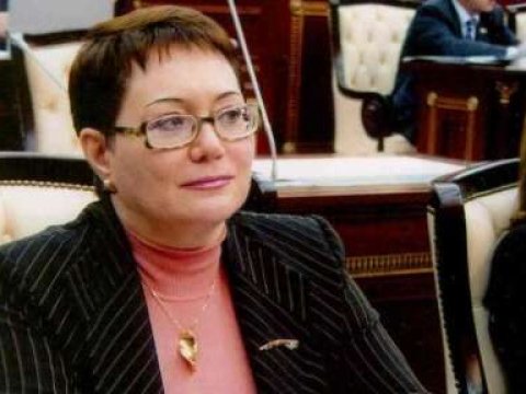 Elmira Axundova xoşagəlməz hərəkətlər edən turistlər haqda təklif verdi