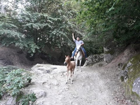 Gənc müəllim atla kəndbəkənd gəzib məktəblilərə kitab payladı - FOTO