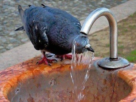 Bu gün Bakıda 120 ilin  REKORD istisi qeydə alındı 