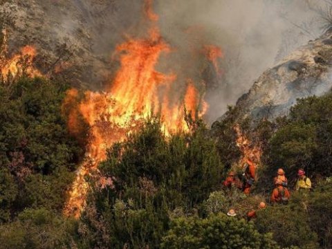 Nazirlik meşə yanğınlarına görə əhaliyə ÇAĞIRIŞ ETDİ - Günahkarların axtarışı başlanıb